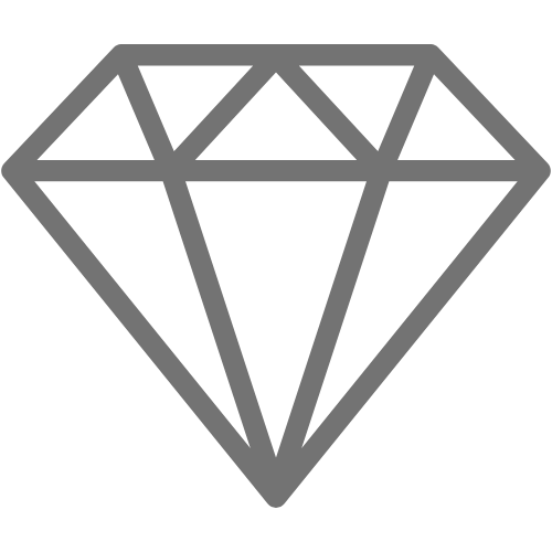 luxury project theme